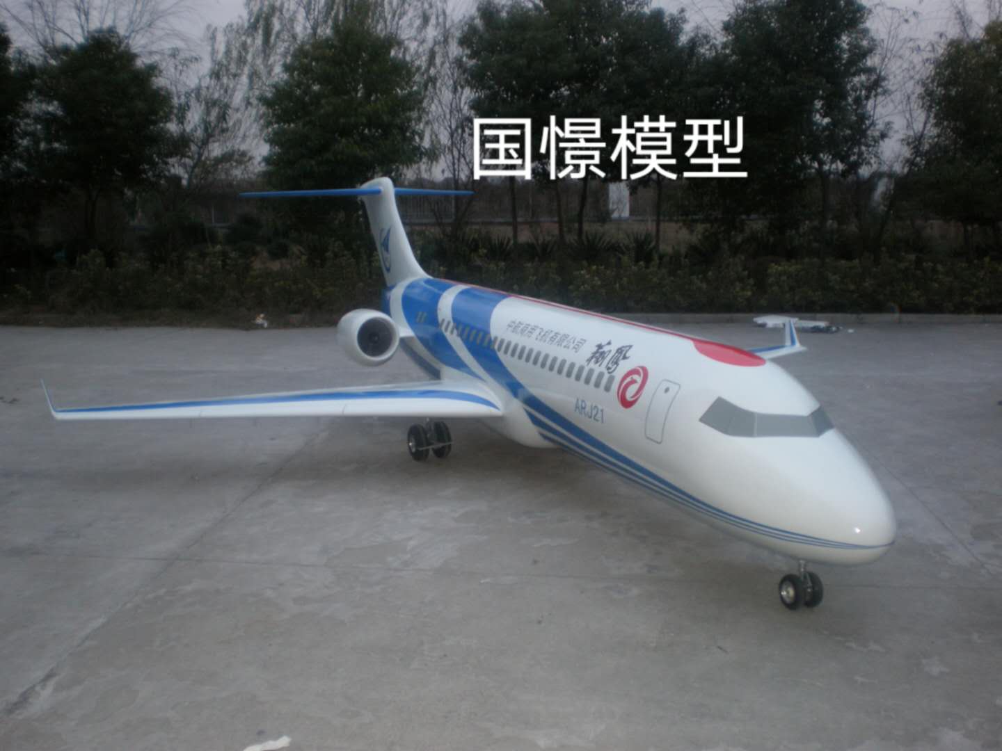 革吉县飞机模型