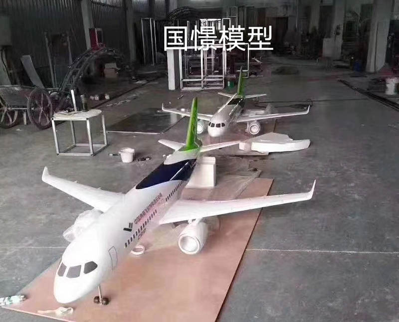 革吉县飞机模型